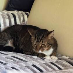 Good grief, here we go again!