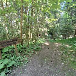 Kleiner, eher unscheinbarer Wasserfall