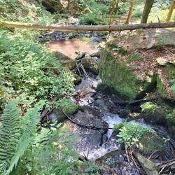 ... mit kleinem Gumpen ...