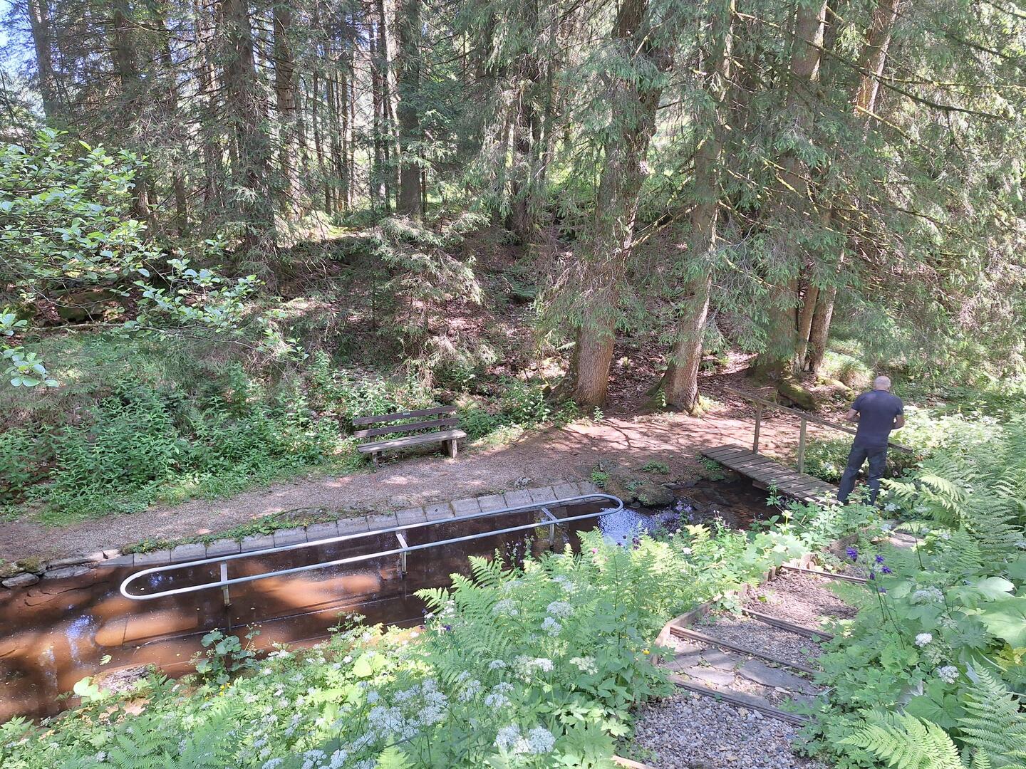 Das Natur-Kneipp-Becken