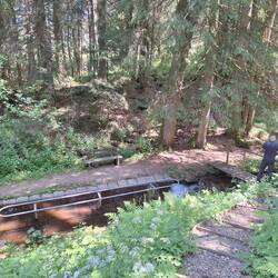 Das Natur-Kneipp-Becken