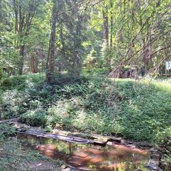 Das Wasser war leider nicht wirklich einladend 😔