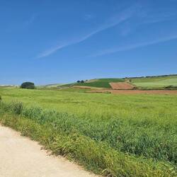 A glorious day for walking!