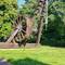 A water wheel powered crane from the good Ole days retired in Bonn.