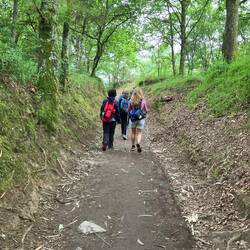 The banks suggest that the path is compressed by many footsteps over the years