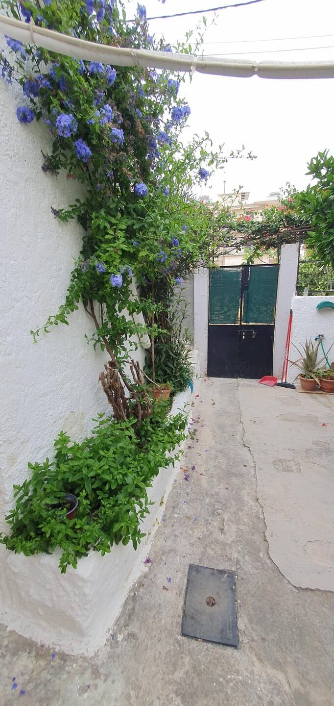Secret Garden 1