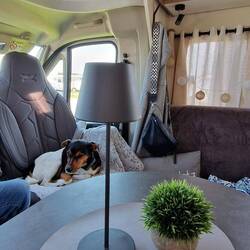 Nun sind wir alle müde!