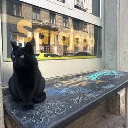 Die ist hier der Chef!