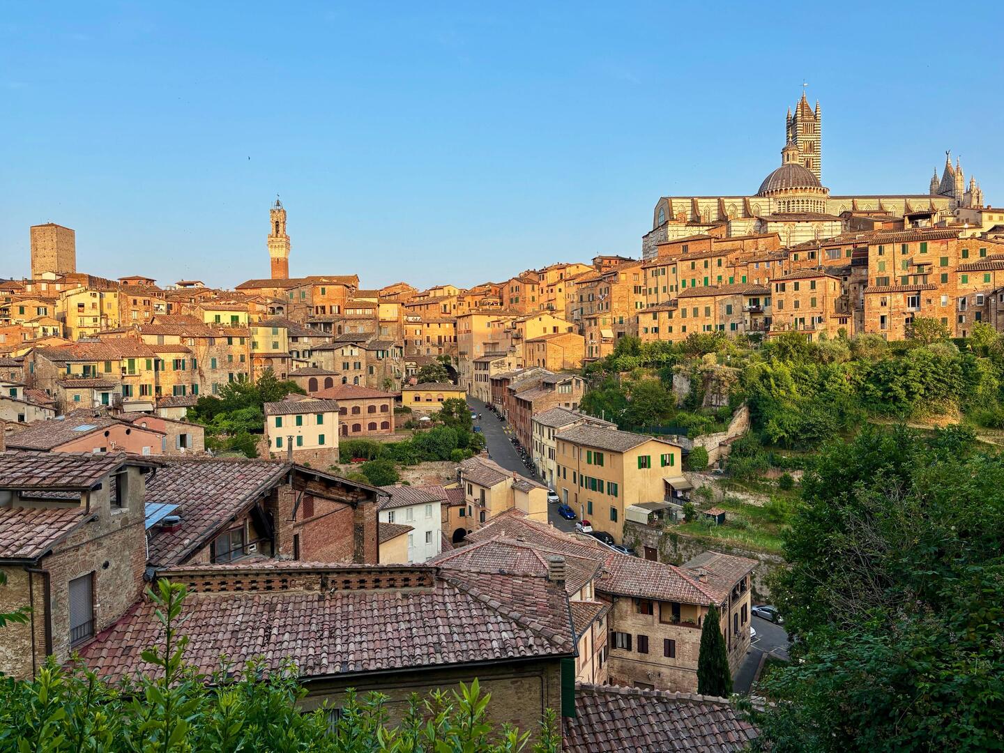 Siena Panorama