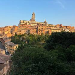 Dom von Siena