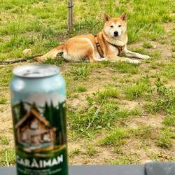 Mica will was von der Pizza?