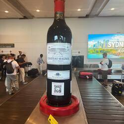 Bordeaux baggage claim -setting the mood