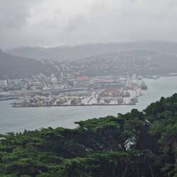 View of Wellington from the lookout