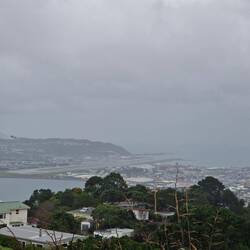 View of Wellington from the lookout