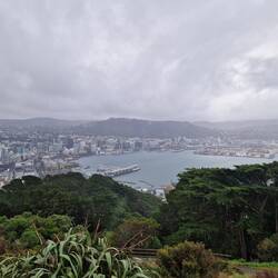View of Wellington from lookout