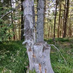 Noch mehr Baumfiguren...ohne Haare