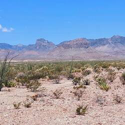 Chisos Mountain Range