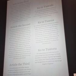 Document showing the disparity in translation of the treaty