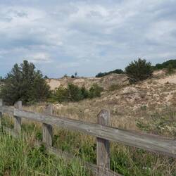 Letzter Strand in den Dünen mit Topgun Fuzzi Bewachung 😁