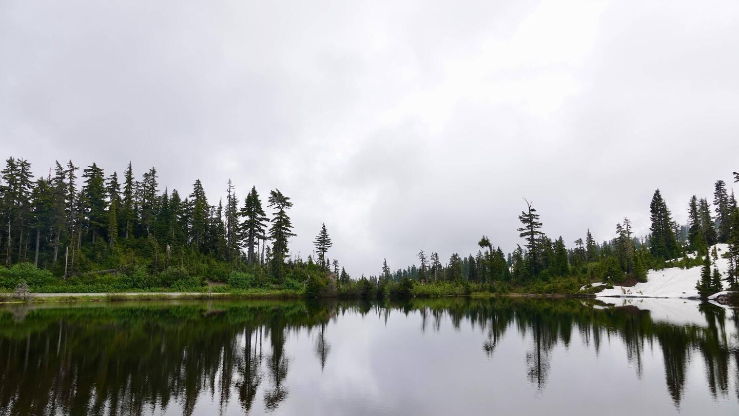 Aussicht auf den Mount Baker