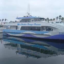 Dann ging es hinaus zu den Delfine