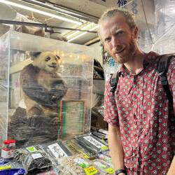 The universal mascot for dried fish salesmen