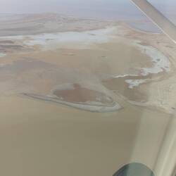 Glenhuntly Island - breeding ground for multiple birds