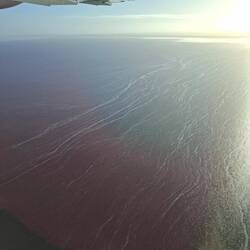 Salt streaks on Lake Eyre
