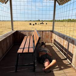 Safari macht müde. Unser Platz zum Mittagsschlaf. Inklusiv Wasserloch und Elefantenherde.