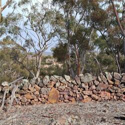 Impressive dry stone wall from 1800's ground clearing efforts
