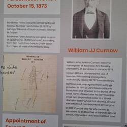 Bundaleer forestry beginnings