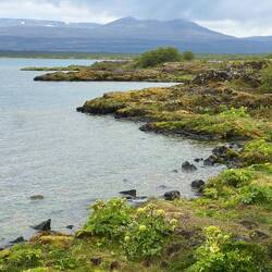 A quiet corner of Þingvillar