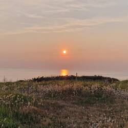 Sonnenuntergänge sind Pflicht 🧡