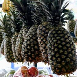 The fruits (incl. avocados!) are of exceptional quality...