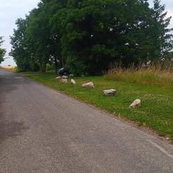 Unser letzter Stellplatz unter den Bäumen