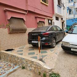 The neighbour would often pen us in with his parking. That morning there was also a dead dog.
