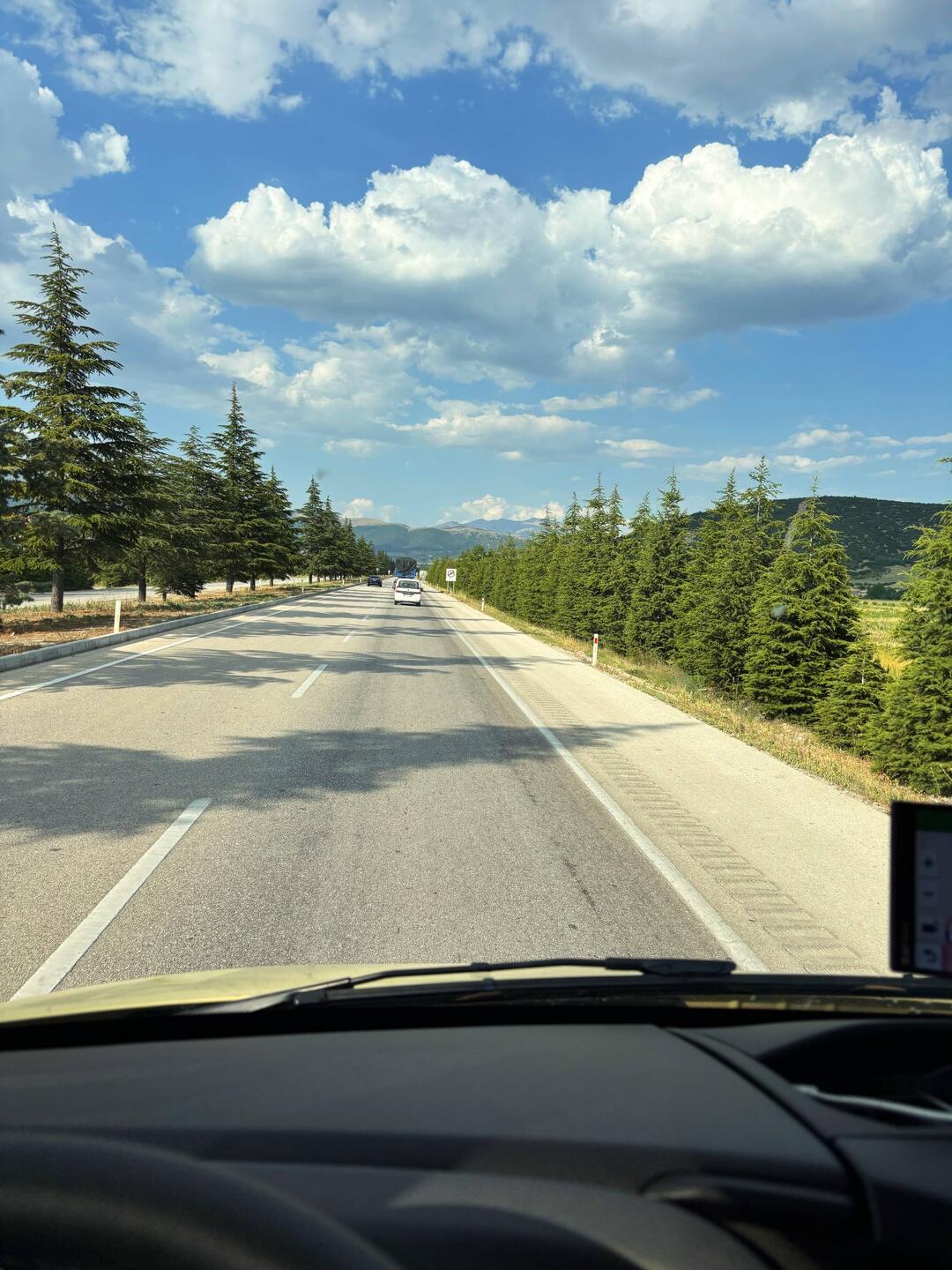 es werden in der Türkei sehr viel neue Bäume gepflanzt