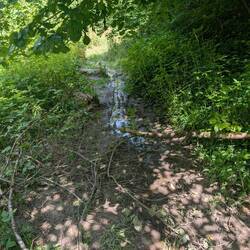 Weg muss geteilt werden