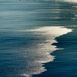 Pancake ice gleaming in the morning sun in Gould Bay — Antarctica.