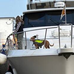 Behind us in the Lock is "Next Chapter", with Ocean the Australian labradoodle happily aboard