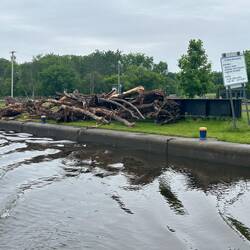 Another barge-load of flotsam taken from the canal