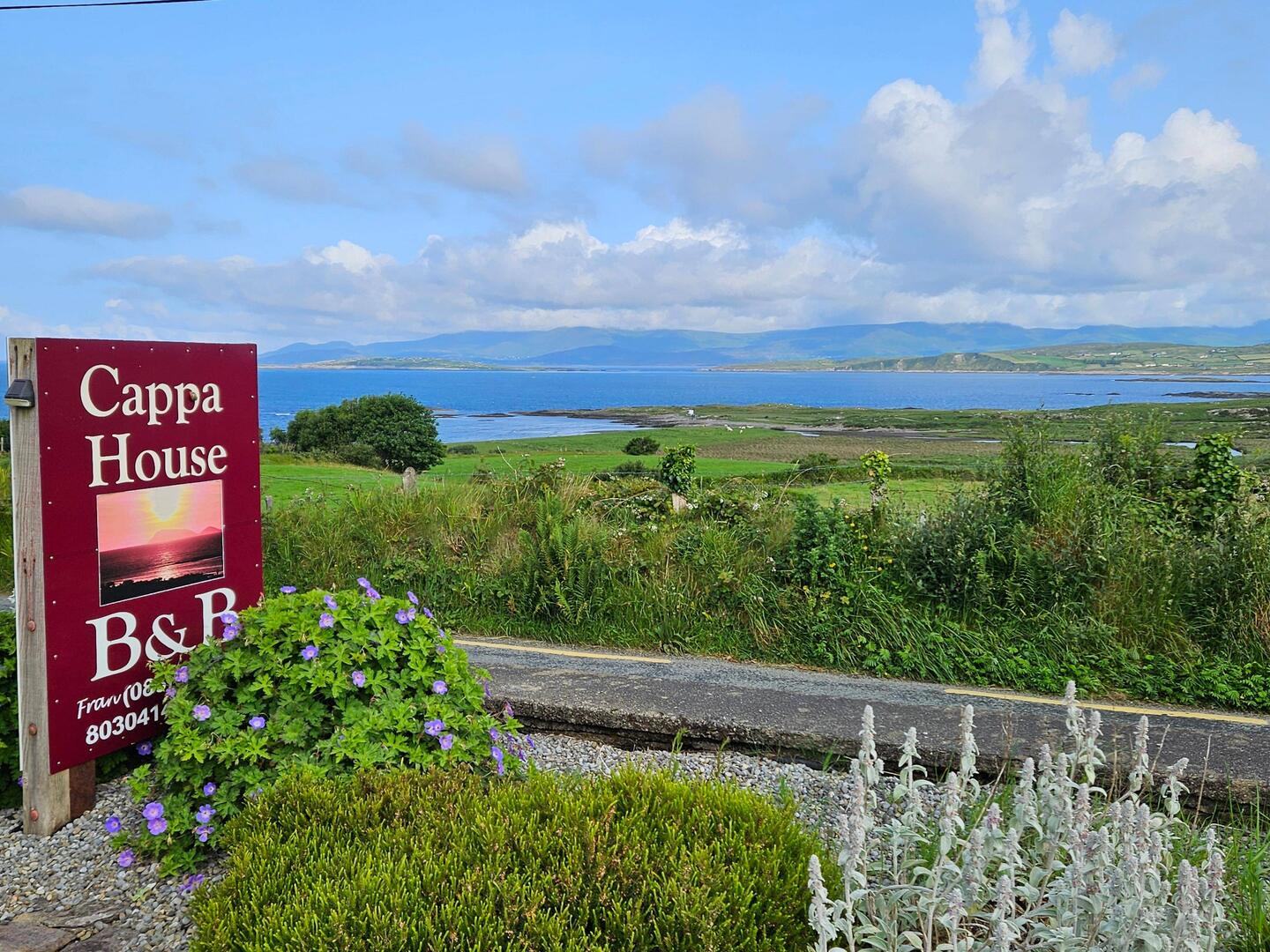 Im Hintergrund die Hügel des Ring of Kerry