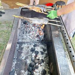 Lachsforellen als Steckerlfisch