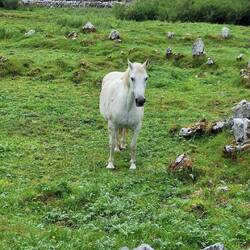 She came to greet us