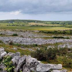 The burren