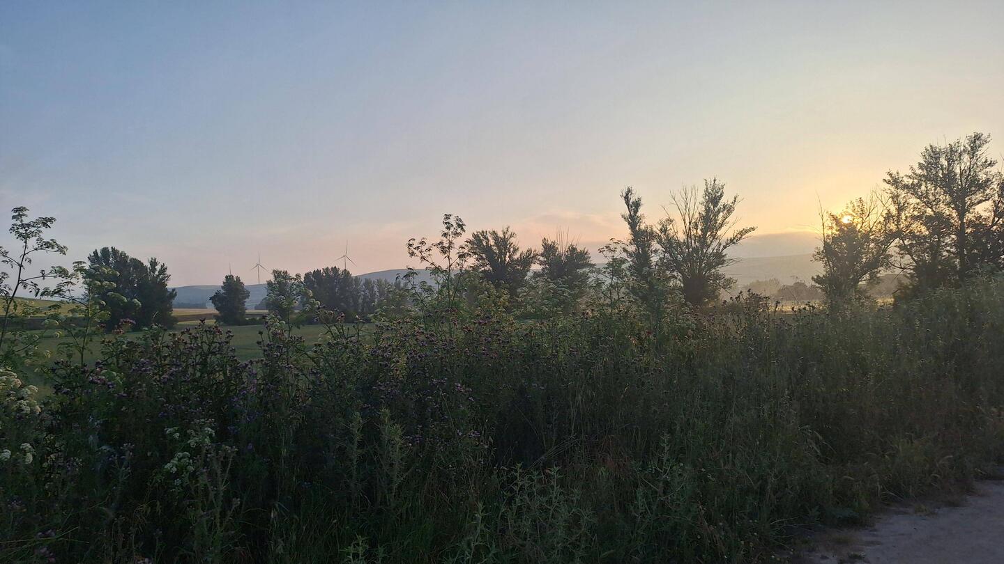 Love the early morning starts