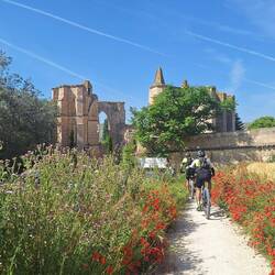 This was a surprise stop at old ruins, but also an albergue if you needed one