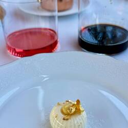 Prickly Pear und Carob