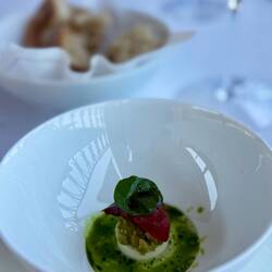 Tribute to the Mediteranean Sea