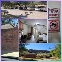 NWR-Camp